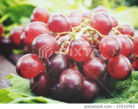 Fresh grapes with green leaves Fresh grapes with green leaves 37819763
