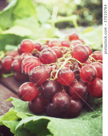 Fresh grapes with green leaves Fresh grapes with green leaves 37819764