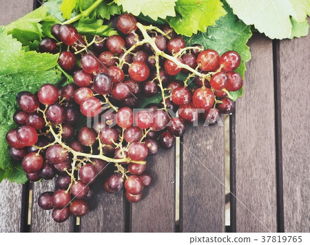Fresh grapes with green leaves Fresh grapes with green leaves 37819765