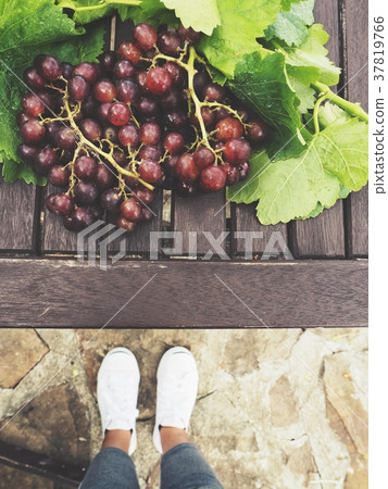Selfie of grapes and sneakers Selfie of grapes and sneakers 37819766
