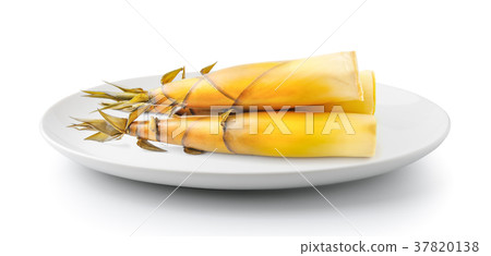 Bamboo shoot in a plate isolated 37820138