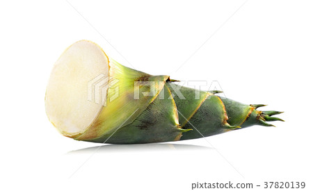 bamboo shoot isolated on white background bamboo shoot isolated on white background 37820139