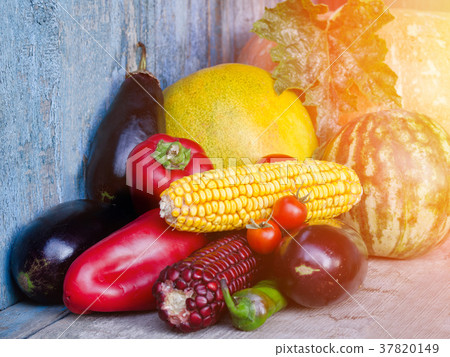 Still life of autumn vegetables Still life of autumn vegetables 37820149