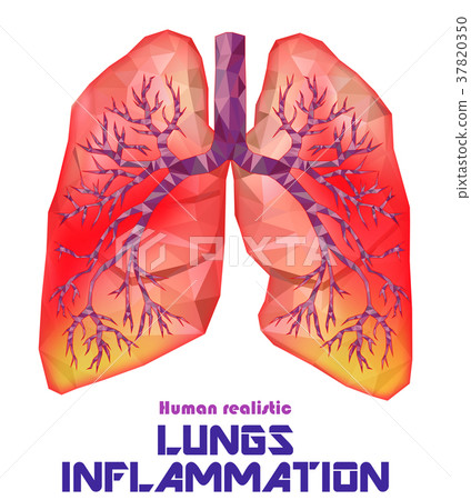 Sick human realistic lungs and trachea  37820350