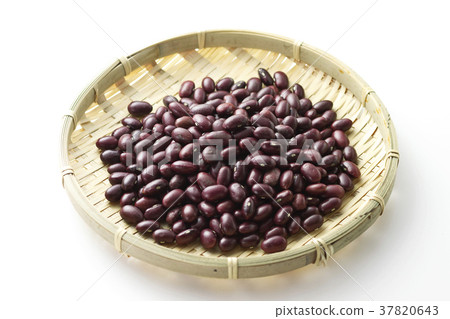 Golden Toki 5 Golden Toki 5 37820643