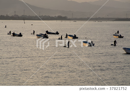 Scenery of shellfish fishing 37821752