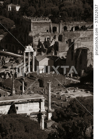 Rome city rooftop view Rome city rooftop view 37822637