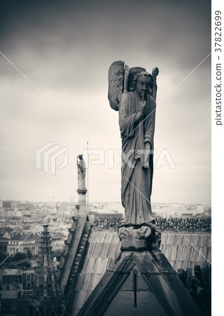 Paris rooftop view Paris rooftop view 37822699