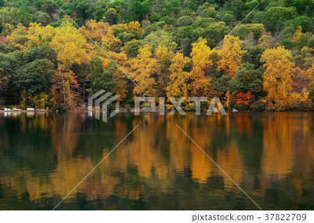 Autumn Lake Autumn Lake 37822709