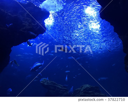 魚缸 魚缸 37822710