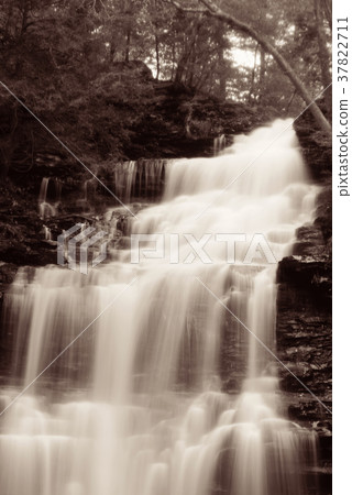 Waterfalls in black and white Waterfalls in black and white 37822711