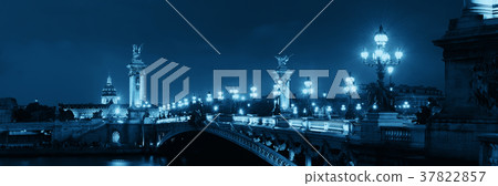 Alexandre III bridge night view 37822857