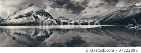 Bow Lake Bow Lake 37822898