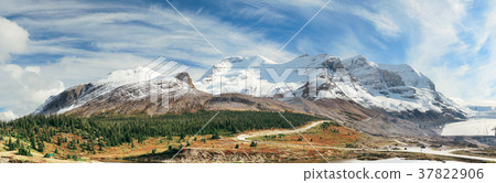 Columbia Icefield Columbia Icefield 37822906