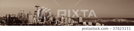 Seattle city skyline 37823151