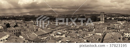 Lucca skyline tower panorama Lucca skyline tower panorama 37823195
