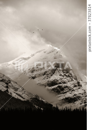 Banff National Park Banff National Park 37823814