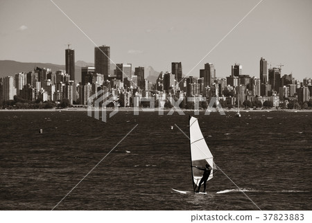 Sailing in Vancouver 37823883