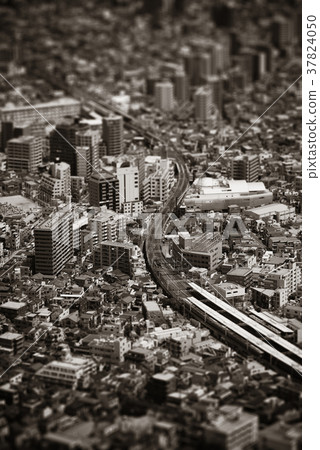 Tokyo Tokyo 37824050