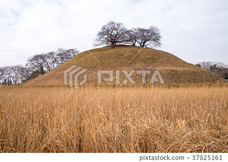 Saitama Tombs Maru Tomb 37825161