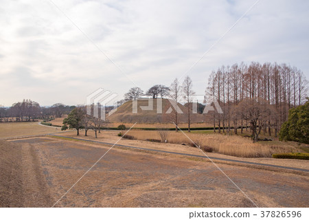 埼玉古墓群Fikosan古墓Inariyama古墓圓墓古墓 37826596