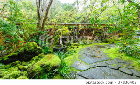 青苔猥褻花園 青苔猥褻花園 37830402