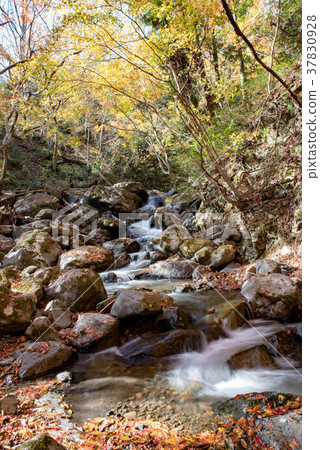 Autumn gabion waterfall promenade Autumn gabion waterfall promenade 37830928