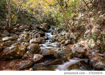 秋天gabion瀑布散步 37830934