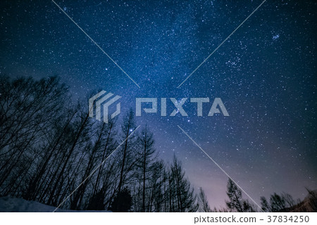 Winter starry sky Winter starry sky 37834250