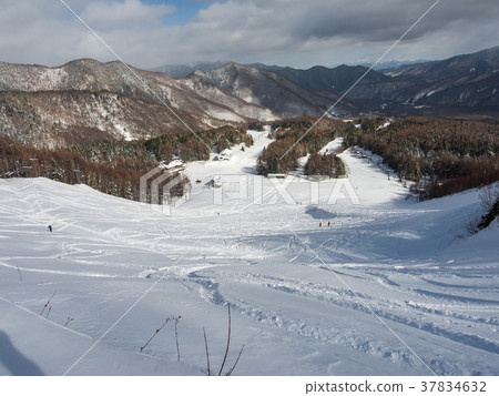 Mt. Norikura滑雪勝地 37834632