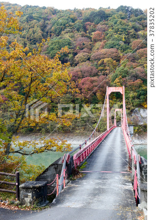 Fall of Lake Miwa Ina City, Nagano Prefecture Fall of Lake Miwa Ina City, Nagano Prefecture 37835202