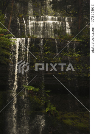 Russell Falls in Mount Field National Park. 37835668