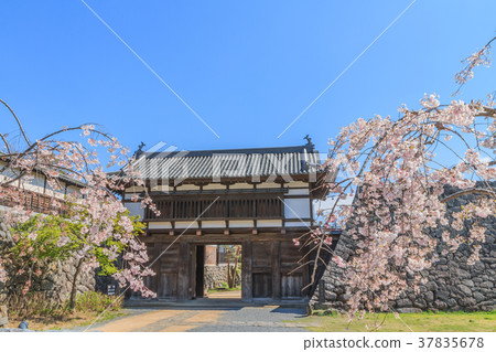Landscape of the main gate of Komoro Castle in spring 37835678
