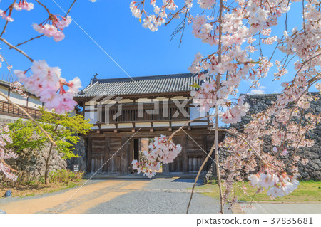 Komoro城堡主閘的風景在春天 Komoro城堡主閘的風景在春天 37835681