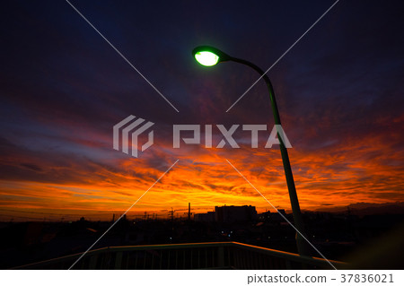 Street light 37836021