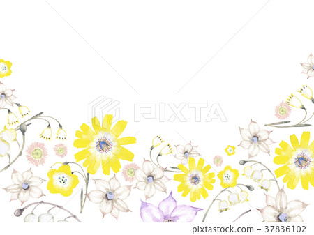 Spring / summer flower background frame watercolor illustration 37836102
