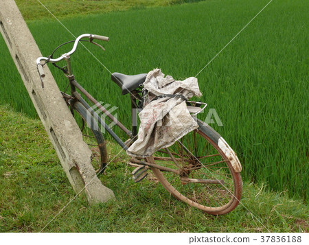 越南老自行車 越南老自行車 37836188