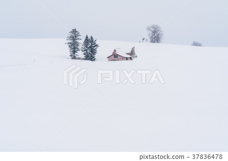 "Hokkaido" Biei hill / hill with red roof "Hokkaido" Biei hill / hill with red roof 37836478