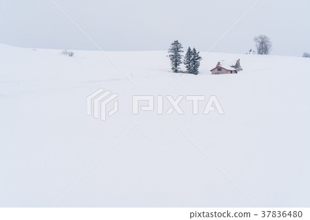 "Hokkaido" Biei hill / hill with red roof 37836480