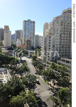 夏威夷的庫希奧街 夏威夷的庫希奧街 37837802