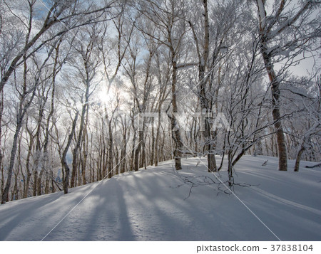 冬天里山 37838104