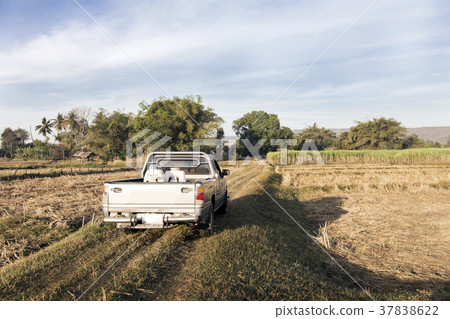 truck on field in rural agriculture life truck on field in rural agriculture life 37838622
