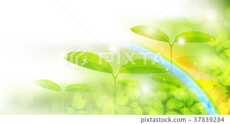 Fresh green eco leaves background 37839284