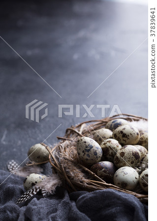 Quail eggs in the nest Quail eggs in the nest 37839641