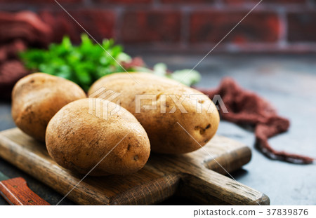 potato potato 37839876