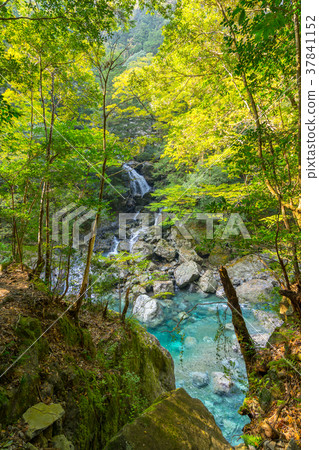 Japan's three major valleys, one of the top ten hidden areas, and the Osugi valley with colored leaves (Ota-machi, Taki-gun, Mie Prefecture) 37841152
