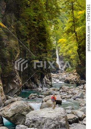 Japan's Three Great Valleys, One Hundred Elections, Osugi Valley's Shishi and Nico Nico Falls (Mie Prefecture) Japan's Three Great Valleys, One Hundred Elections, Osugi Valley's Shishi and Nico Nico Falls (Mie Prefecture) 37841161