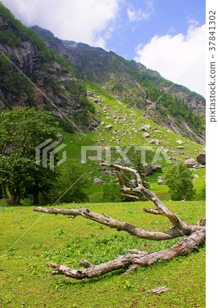 Landscape. Kinnaur district of Himachal Pradesh Landscape. Kinnaur district of Himachal Pradesh 37841302