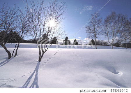 Hokkaido Ritsuma Komanai Park Snowscape Hokkaido Ritsuma Komanai Park Snowscape 37841942