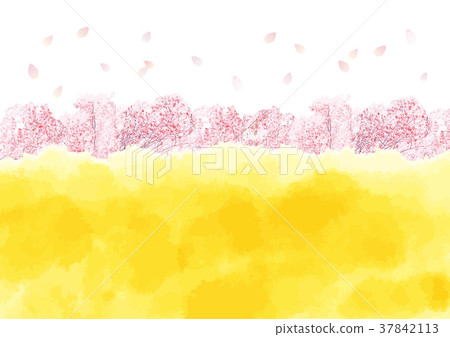 Cherry blossoms white Cherry blossoms white 37842113